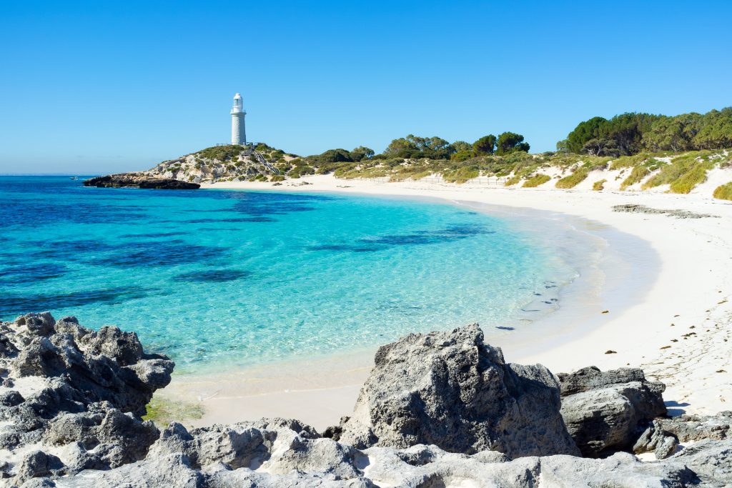 Day Trip From Perth - Rottnest Island